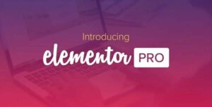 Elementor PRO WordPress Page Builder + Pro Templates 3.31.3
