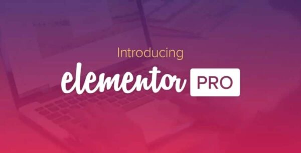 Elementor PRO WordPress Page Builder + Pro Templates 3.31.3