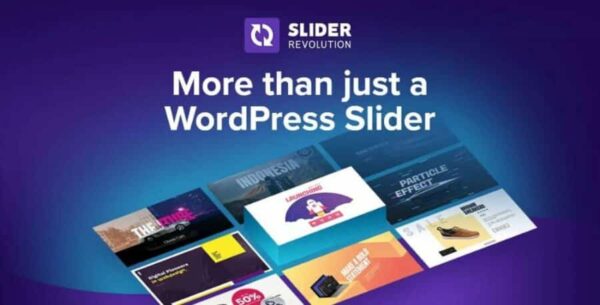 Slider Revolution Responsive WordPress Plugin (Add-ons and templates will not be imported, only custom sliders can be created.) 6.7.23